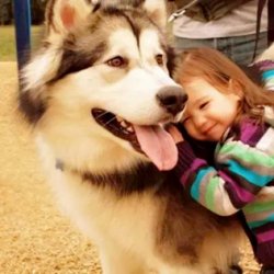 狗狗和小孩宝宝可爱图片