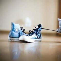 猫咪和主子的温暖治愈图片