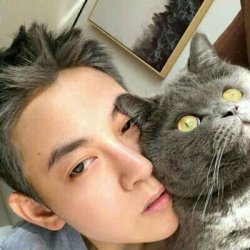 抱宠物男生头像猫咪可爱头像