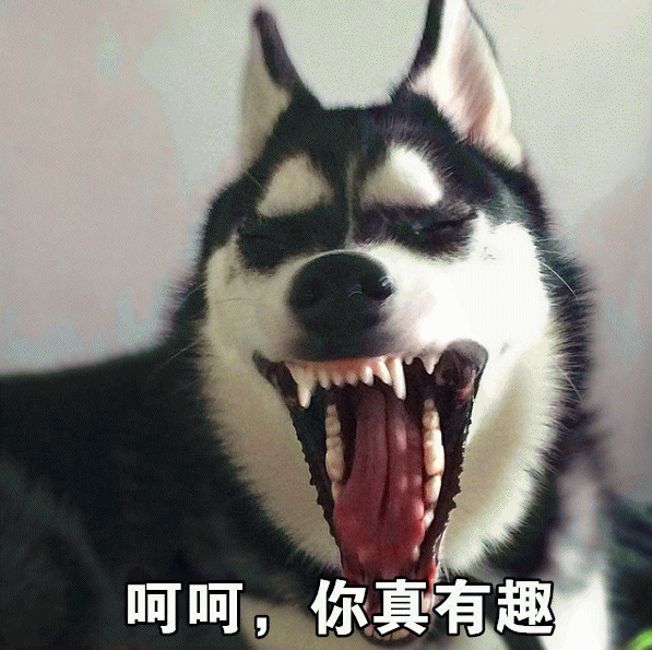 哈士奇表情包 [那你好棒棒哦 要不要给你鼓鼓掌？]