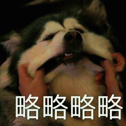 略略略不听不听小动物表情包