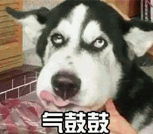 气鼓鼓表情包 [没猜错应该是掏了蜜蜂窝吧？]