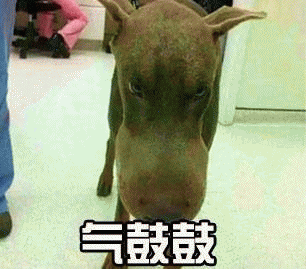 气鼓鼓表情包 [没猜错应该是掏了蜜蜂窝吧？]