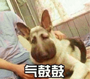 气鼓鼓表情包 [没猜错应该是掏了蜜蜂窝吧？]