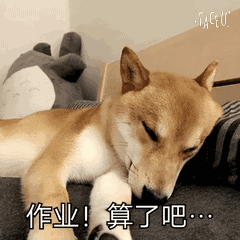 天大地大睡觉最大小狗柴犬动态表情