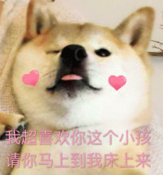 狗子表情包 [表面稳如狗 内心慌得一批]