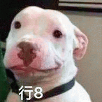 狗子表情包 [表面稳如狗 内心慌得一批]