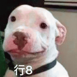 狗子QQ表情包搞笑可爱脸