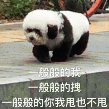 狗子表情包 [表面稳如狗 内心慌得一批]
