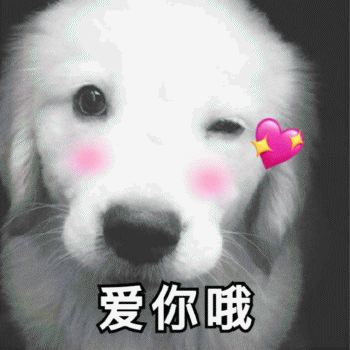 狗子表情包 [表面稳如狗 内心慌得一批]
