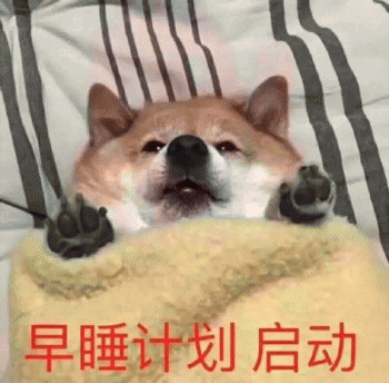 狗子表情包 [表面稳如狗 内心慌得一批]