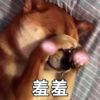 狗子表情包 [表面稳如狗 内心慌得一批]