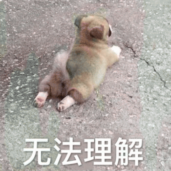 沙雕狗狗表情包 [大家都听我说，你们都是狗]