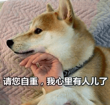 沙雕狗狗表情包 [大家都听我说，你们都是狗]