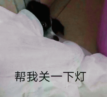 沙雕狗狗表情包 [大家都听我说，你们都是狗]