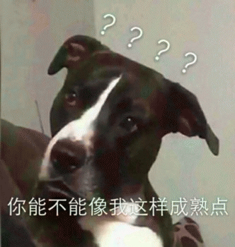 沙雕狗狗表情包 [大家都听我说，你们都是狗]