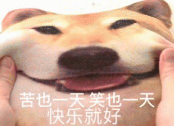 沙雕狗狗表情包 [大家都听我说，你们都是狗]