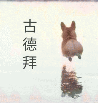 沙雕狗狗表情包 [大家都听我说，你们都是狗]