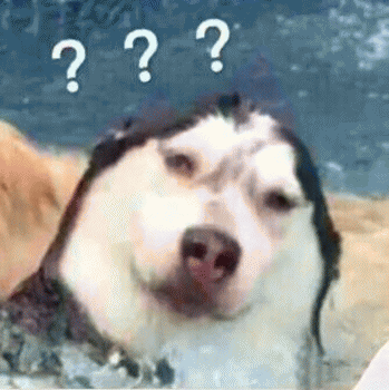 沙雕狗狗表情包 [大家都听我说，你们都是狗]