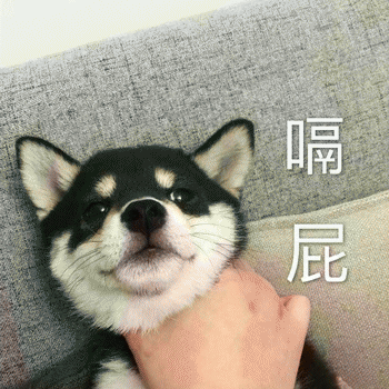 狗狗表情包带字 [这双狗眼看透太多了]