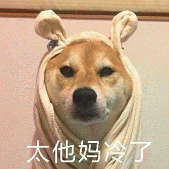 狗狗表情包带字 [这双狗眼看透太多了]