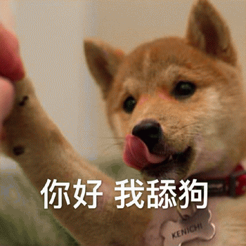 狗狗表情包带字 [这双狗眼看透太多了]