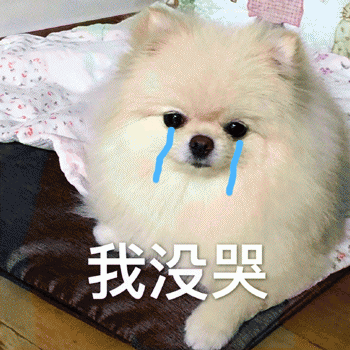狗狗表情包带字 [这双狗眼看透太多了]