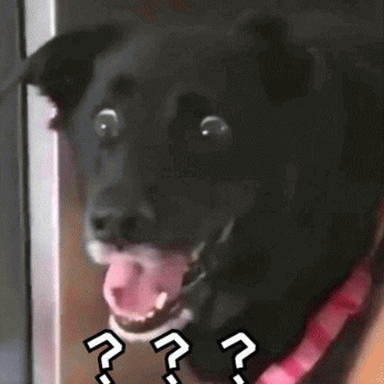 狗狗表情包带字 [这双狗眼看透太多了]