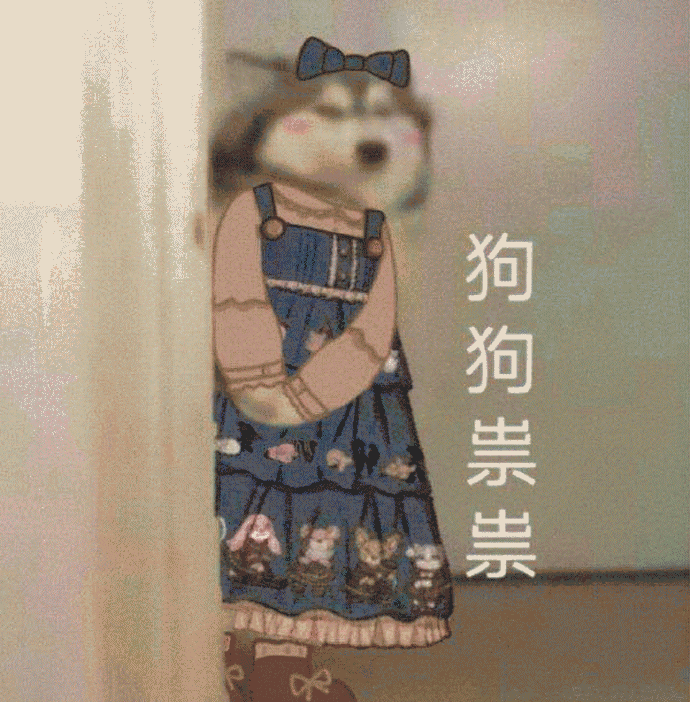 狗狗祟祟表情包 [各种变装的狗狗试探表情]