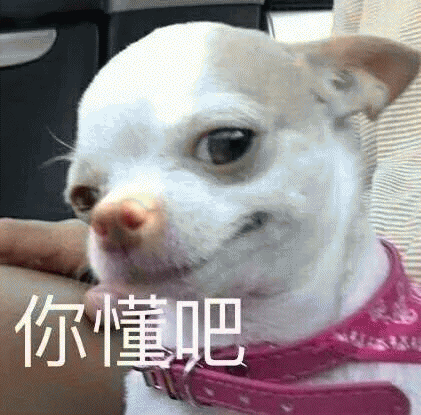 吉娃娃表情包 [我想这是用表情包的最高境界]