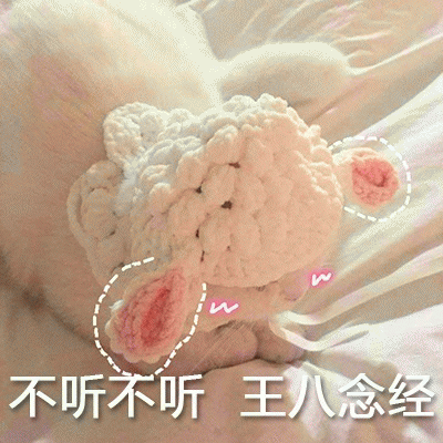 小白猫表情包 [你该不会是个傻子吧]