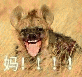 呼叫妈妈的表情包 [给你妈发微信不理你 就发这些表情包过去]