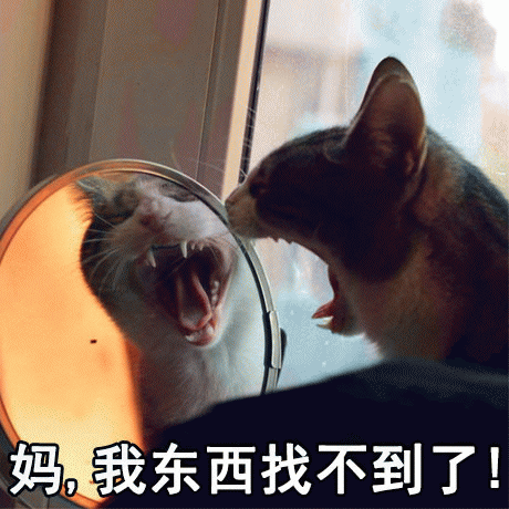 呼叫妈妈的表情包 [给你妈发微信不理你 就发这些表情包过去]