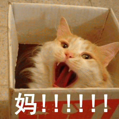 呼叫妈妈的表情包 [给你妈发微信不理你 就发这些表情包过去]