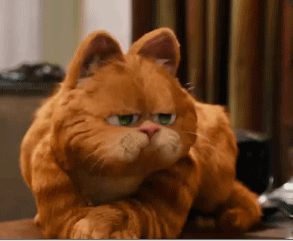 加菲猫表情包 ​ [加菲猫用小拳拳锤你胸口]