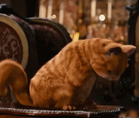 加菲猫表情包 ​ [加菲猫用小拳拳锤你胸口]