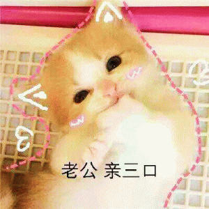猫咪喊老公的表情包 [悄咪咪的偷窥老公]