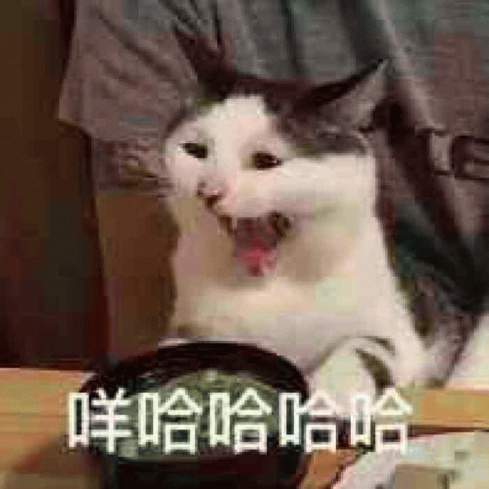 猫咪表情包 [难过的就像一个200斤的橘猫]