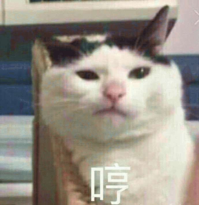 猫咪表情包 [难过的就像一个200斤的橘猫]