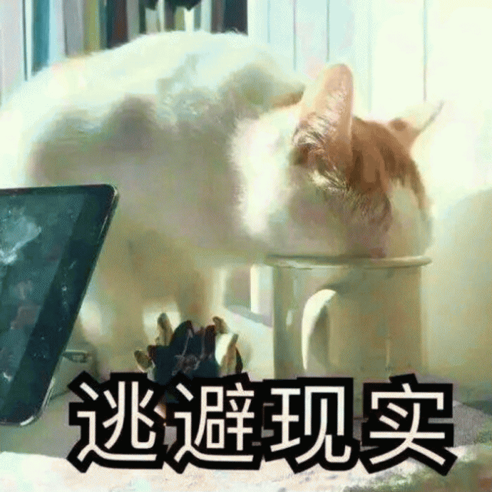 猫咪表情包 [难过的就像一个200斤的橘猫]
