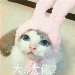 搞笑有趣的猫咪萌系表情包