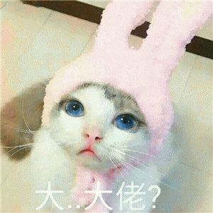 搞笑有趣的猫咪萌系表情包