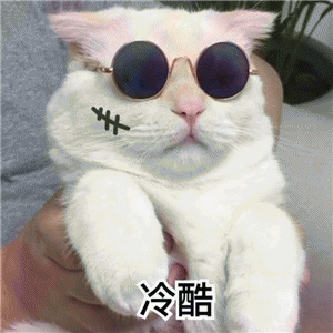 猫咪萌系表情包 [我小猫咪无话可说]