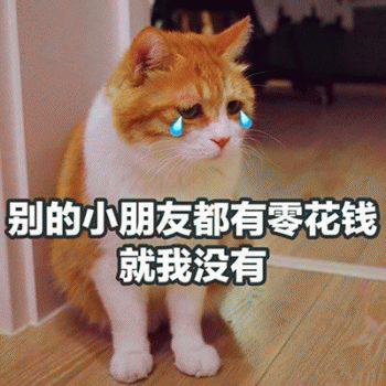 日常吸猫表情包带字搞笑的