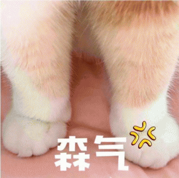 日常吸猫表情包 [哈哈哈哈哈哈 你没我萌吧！]