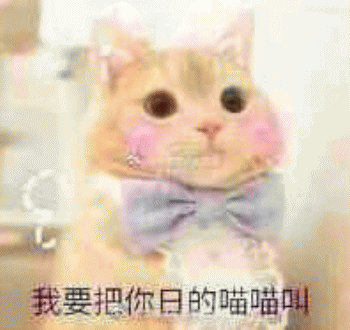 日常吸猫表情包 [哈哈哈哈哈哈 你没我萌吧！]