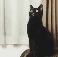 长脖子黑猫动态表情包 [dei dei dei 你说的都dei]