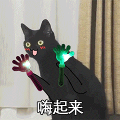 长脖子黑猫动态表情包 [dei dei dei 你说的都dei]