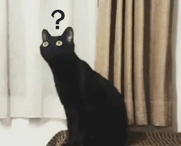 长脖子黑猫动态表情包 [dei dei dei 你说的都dei]