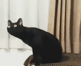 长脖子黑猫动态表情包 [dei dei dei 你说的都dei]